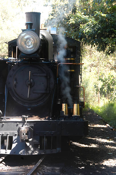 istock steam locomotive 489482393