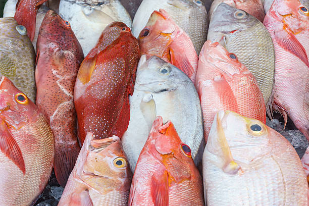 istock Fresh good quality fish in a market. 489482628