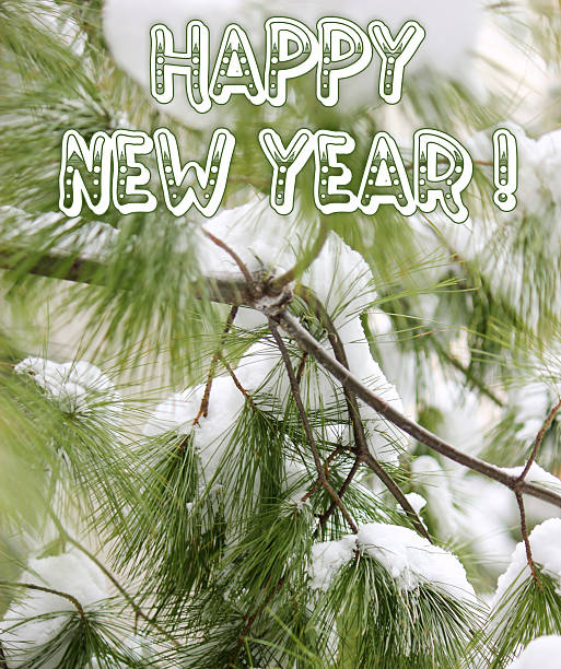 istock Happy New Year - Pine and snow 489483086