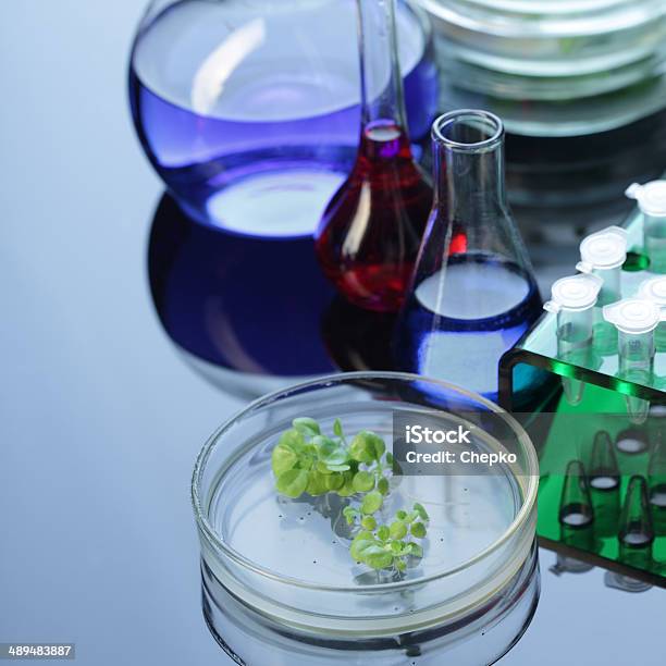 Laboratories Experiment Stock Photo - Download Image Now - Agriculture, Beaker, Biology