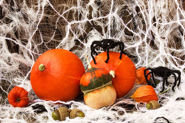 istock halloween decorations: pumpkins and spiders 489484381