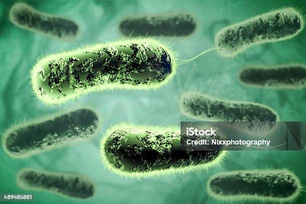 3 D バクテリア - 3Dのストックフォトや画像を多数ご用意 - 3D, ウイルス, バクテリア