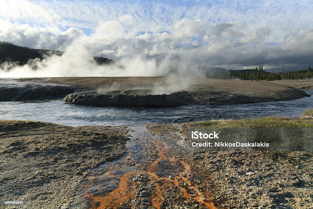Yellowstone Yellowstone National Park, Montana, Wyoming,  Idaho, USA Bacterium Stock Photo