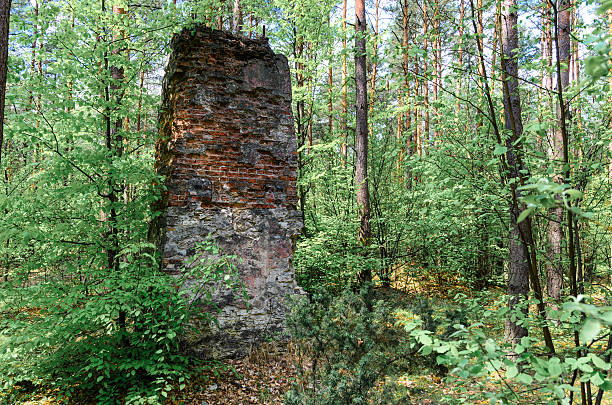 remnants of old and destroyed gunpowder magazines dated before World War I lying in forest