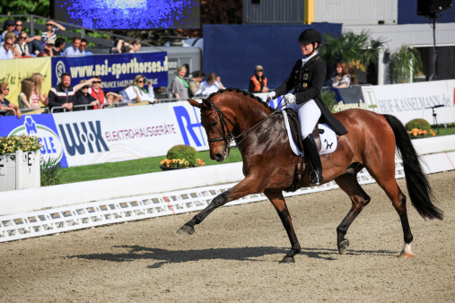 Hagen a.T.W., Germany - April 25, 2014: Isabell Werth with Don Johnson FRH , Grand Prix Special CDI4*