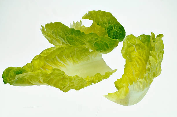 istock some leaves romana salad 489487339