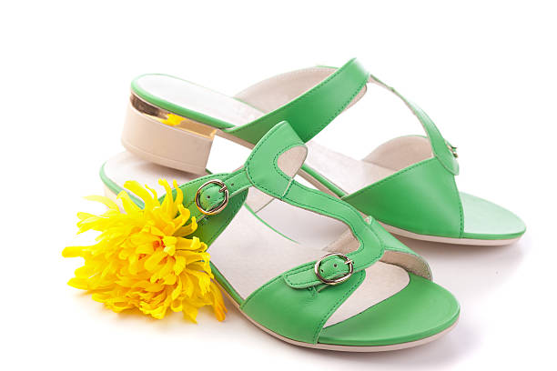 istock women shoes isolated on white 489488303
