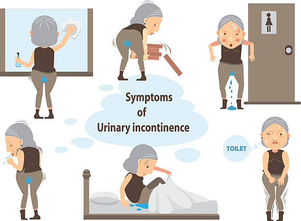 urinary incontinence Diseases of Urine discharge old woman Infographic.vector illustration  incontinence stock illustrations