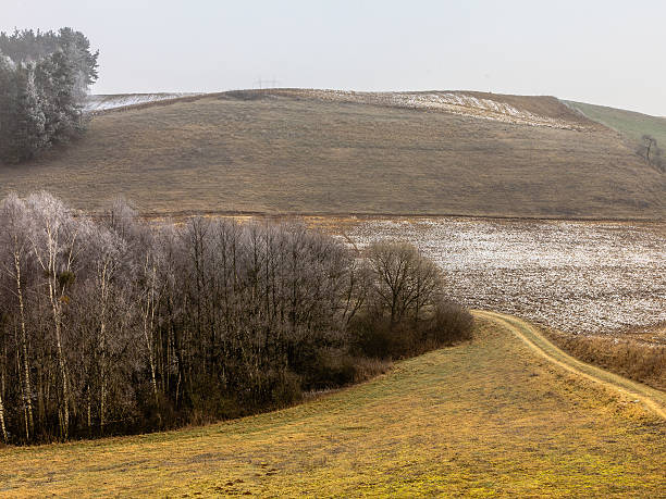 istock Countryside view frosty hilly fields with trees 489488534
