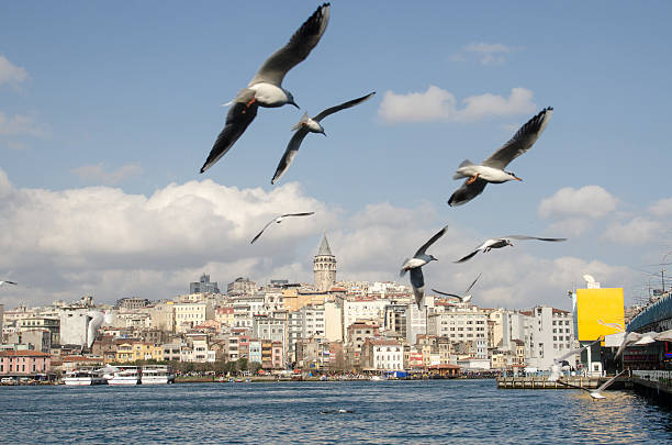이스탄불의 갈라타-도시 전망 스톡 사진