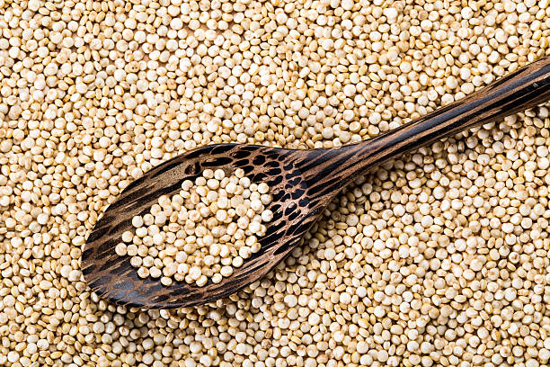Quinoa seed stock photo