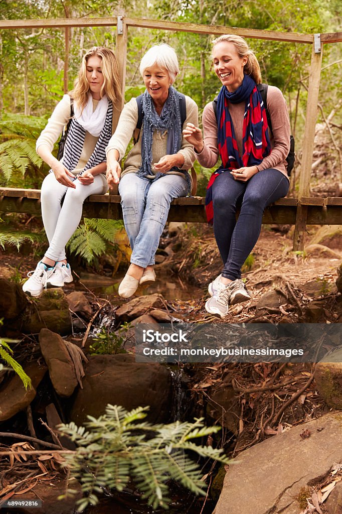 Three generations of women sitting on a bridge in forest Three generations of women sitting on a bridge in a forest Women Stock Photo