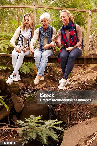 Three Generations Of Women Sitting On A Bridge In Forest Stock Photo - Download Image Now