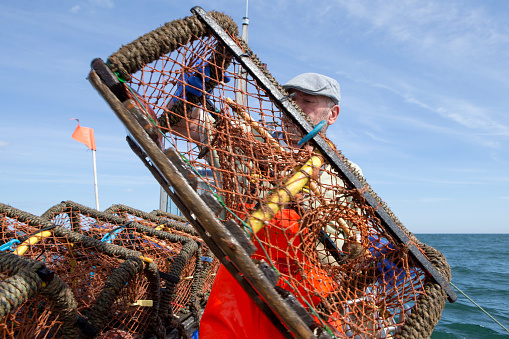 A happy fisherman pulls his lobster pot out of the sea into his boat. He is wearing bright orange overalls and blue gloves to protect his hands.
