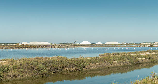 istock Salt production in a salt flats - Aigues-Mortes 489514972