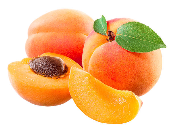 istock Apricot. Fruit with half and slice isolated on white. 489515818