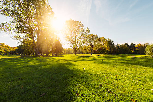 istock Colorful autumn park 489520796