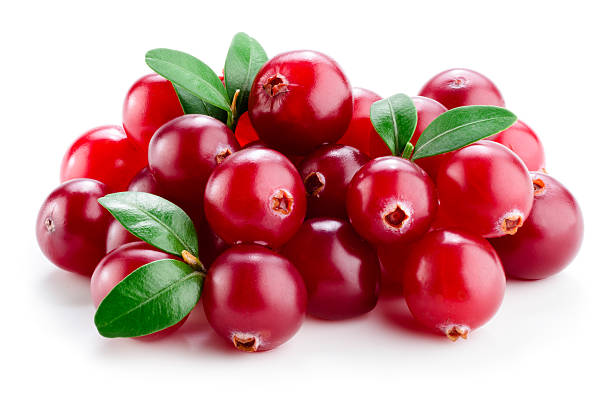 cranberry mit blättern, isoliert auf weiß. - cranberry stock-fotos und bilder
