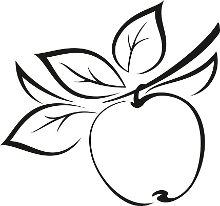 Symbolical Fruit, Apple on a Branch with Leaves Monochrome Black Pictogram Isolated on White Background. Vector