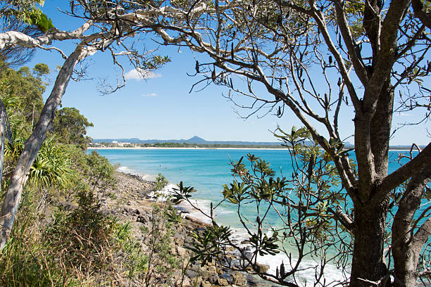 noosa national park - coastline noosa heads australia landscape stock-fotos und bilder