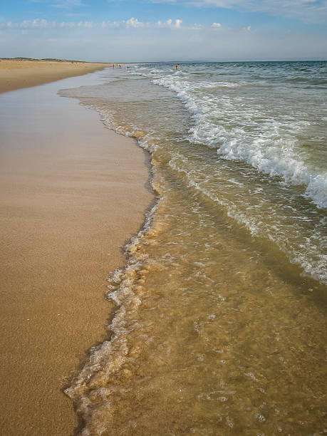istock Seascape near Comporta, Portugal 489524372