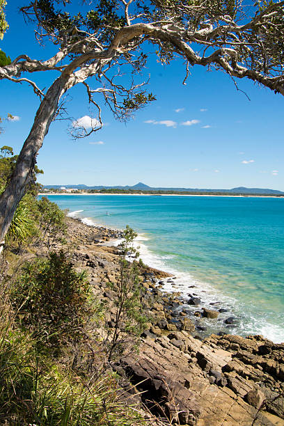 istock Noosa National Park Beautiful View 489526774