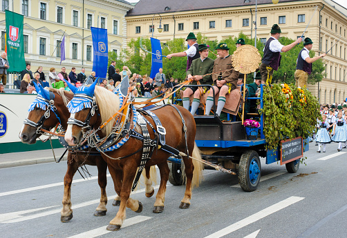 Munich, Germany -  September 20, 2015: The Oktoberfest is the world biggest beer festival and at the opening parade ap. 9000 participants take part with historical costumes, music bands and horses.