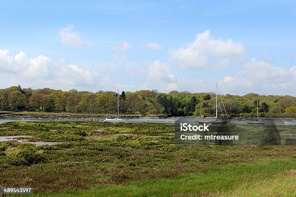 Estuary That Has Recently Flooded With Boggy River Banks Stock Photo - Download Image Now