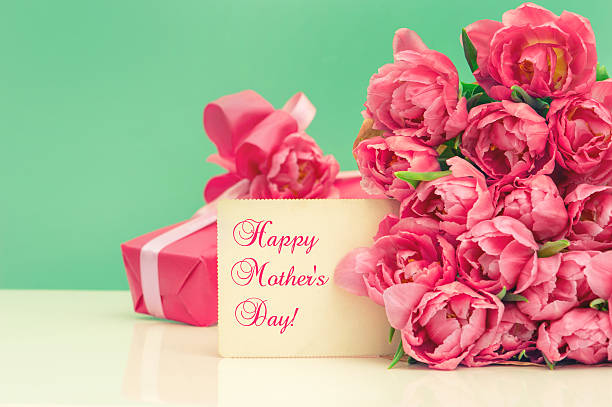 istock Pink tulips, gift ang greeting card 489543739