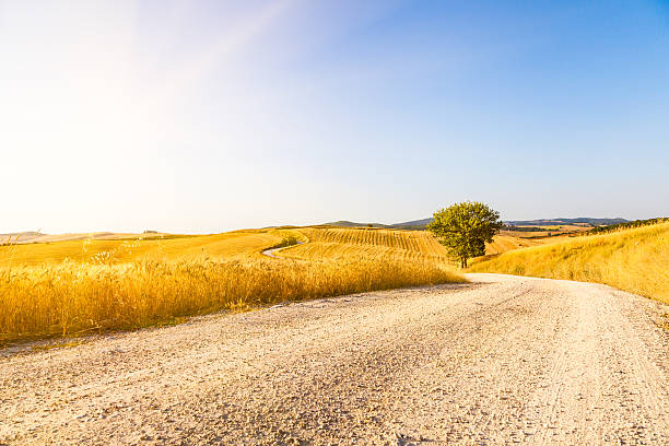 strada di campagna attraversando il golden campi di val d'orcia - val dorcia foto e immagini stock