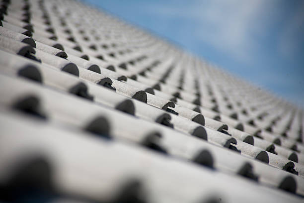 azulejos de gris - hausdach fotografías e imágenes de stock