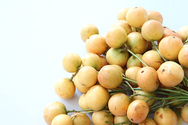 istock Baccaurea ramiflora or burmese grapes. 489547043