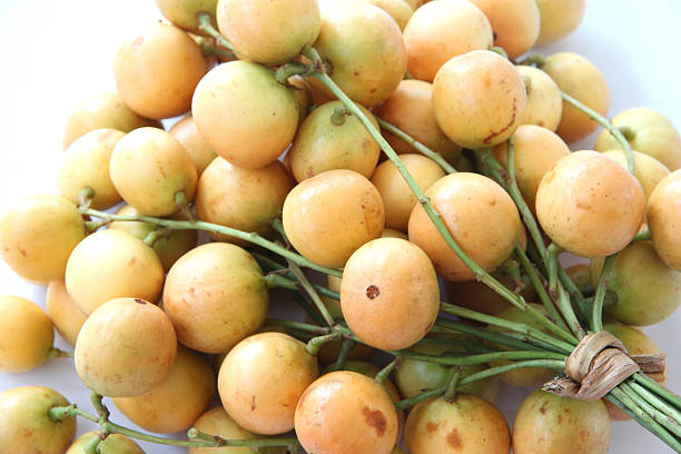 istock Baccaurea ramiflora or burmese grapes. 489547045
