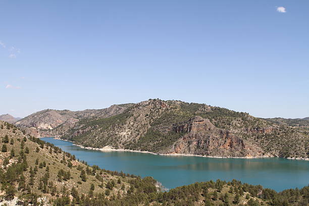 istock Fuensanta swamp 489547117