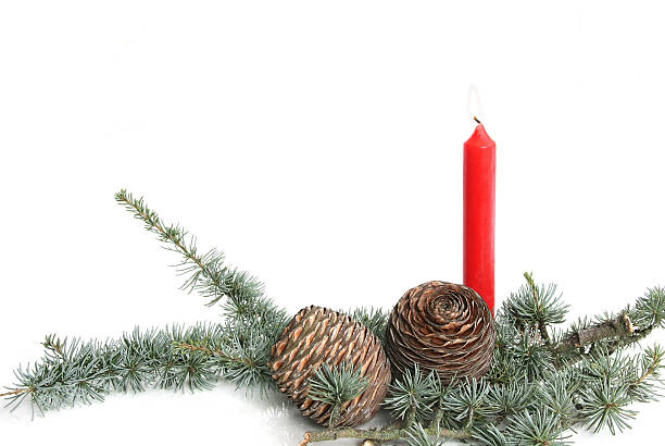 istock Blue Cedar Atlas with red candle 489548881
