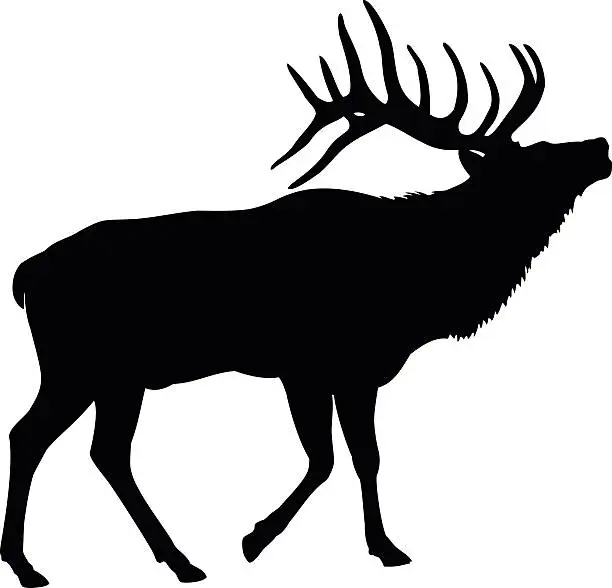Vector illustration of Elk Deer Silhouette