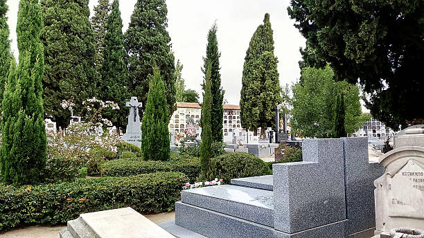 istock CIPRESES SEA AND CROSSES IN A ROMANTIC CEMETERY 489554830