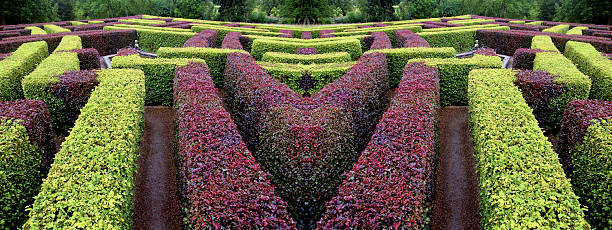 Government public exotic botanical garden, North Tailand