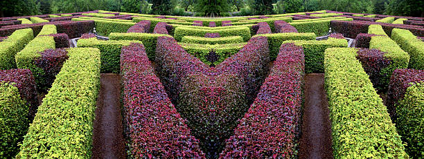edgerow symmetrical garden labyrinth green and red stock photo