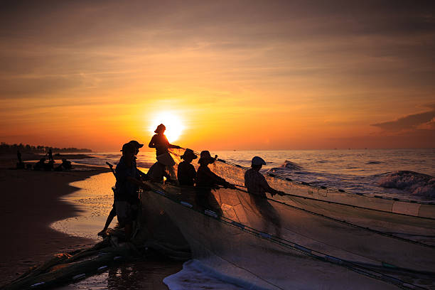 Fishermen who drag nets at sunrise Beach Lagi, Binh Thuan province, Vietnam - August 29, 2015: Unknown Fishermen who pull up th are the fishing nets khi sunrise. This is ask for their daily work basket boat stock pictures, royalty-free photos & images