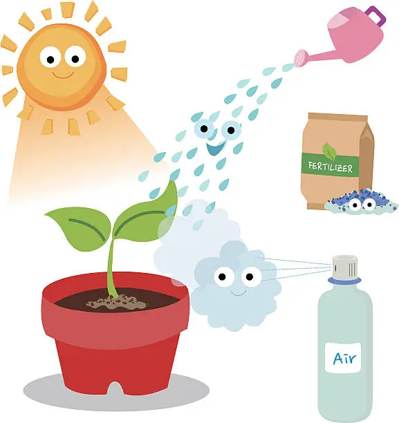 Vector illustration of Necessary things for plants