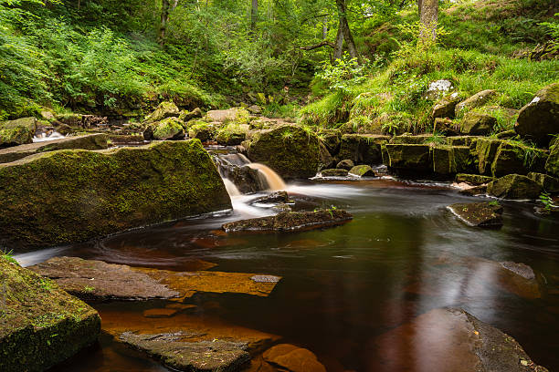 west beck at mallyan spout - esk river стоковые фото и изображения