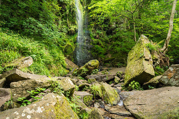 mallyan spout водопад - esk river стоковые фото и изображения
