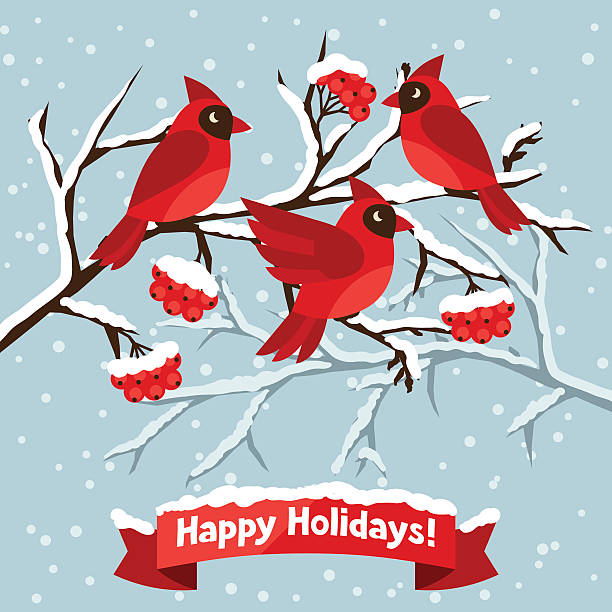 счастливых праздников поздравительная открытка с птицами red cardinal - tree winter bird branch stock illustrations