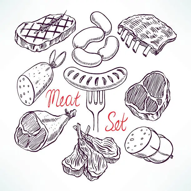 Vector illustration of set of meat products