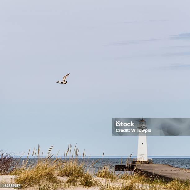 Sodus Point Lake Ontario Lighthouse Stock Photo - Download Image Now - Bird, Great Lakes, Lake Ontario