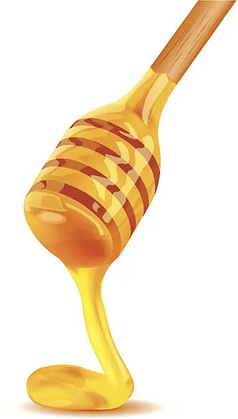 Vector illustration of Honey
