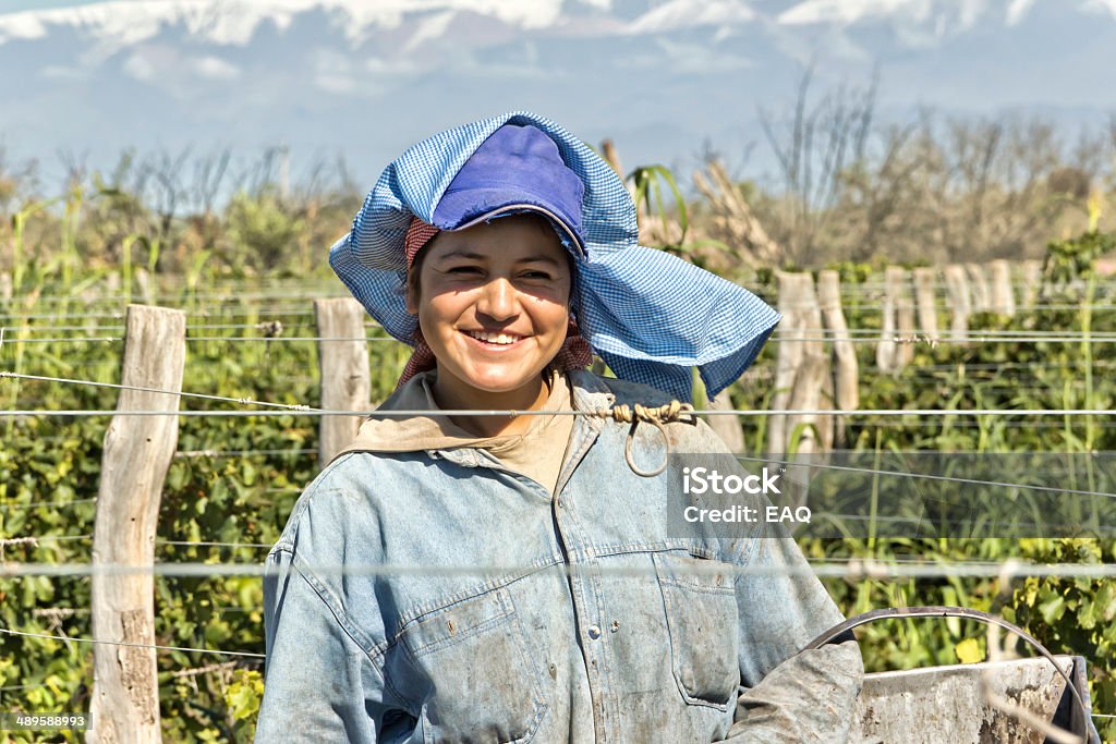 Harvester Woman harvester, holding her basket of grapes, during harvest. Summer in Mendoza, Argentina. Argentina Stock Photo