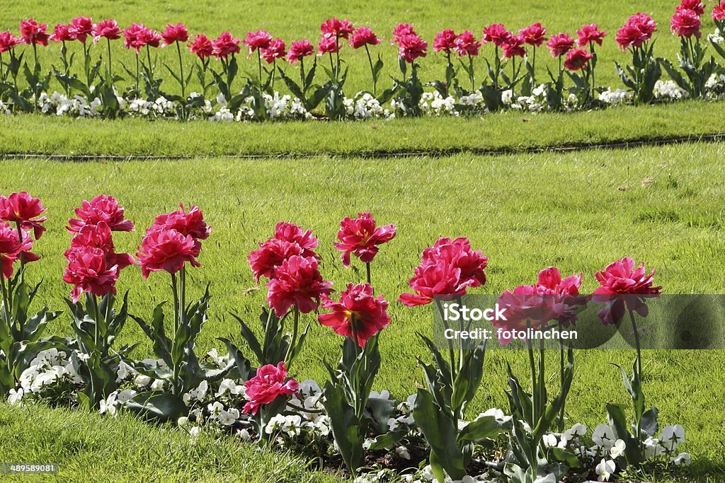 Garten im Frühling - Lizenzfrei Blatt - Pflanzenbestandteile Stock-Foto