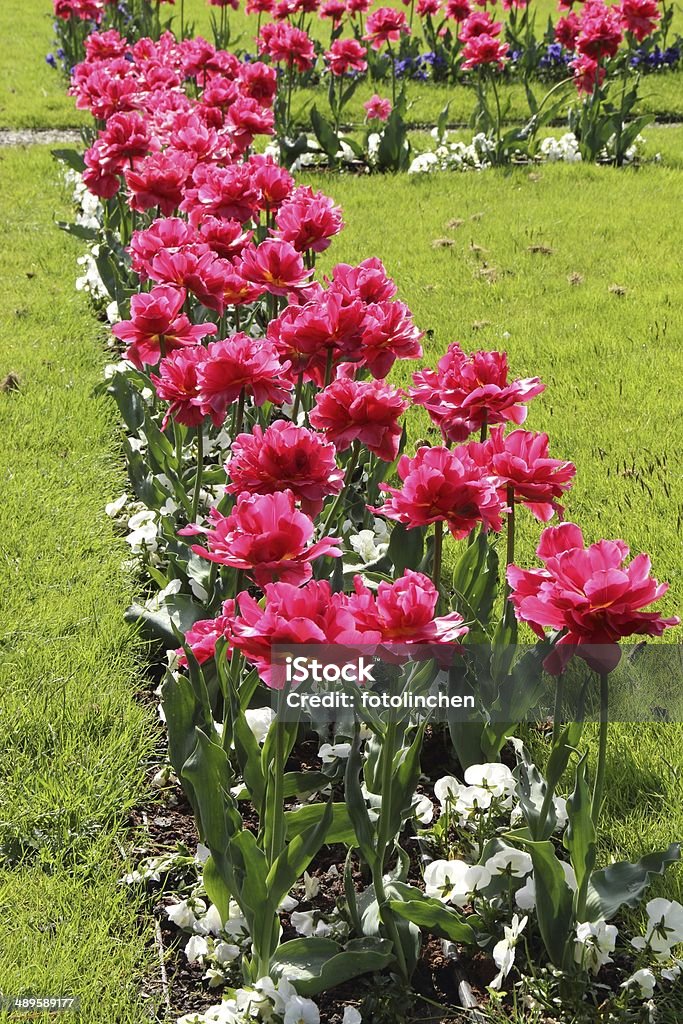 Garten im Frühling - Lizenzfrei Blatt - Pflanzenbestandteile Stock-Foto